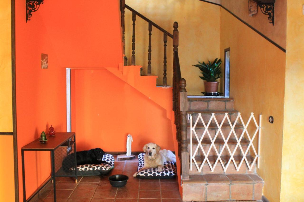 Casa Rural Baobab Romancos Экстерьер фото